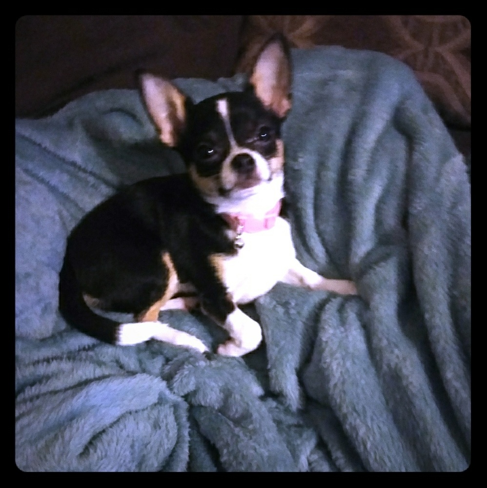 MY BABY GIRL DOLCE' (NOT FOR SALE,)